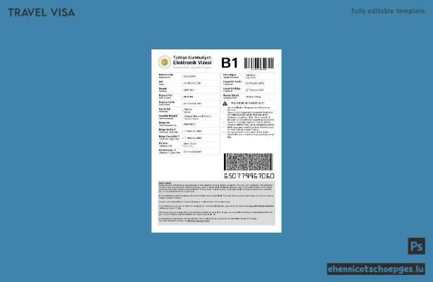 Beispielansicht des türkischen E-Visums in Word- und PDF-Formaten